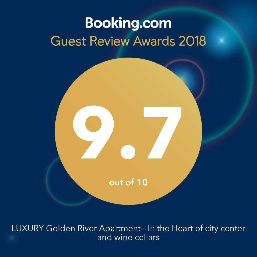 Luxury Golden River Apartment - In The Heart Of City Center And Wine Cellars Віла-Нова-де-Гая Екстер'єр фото